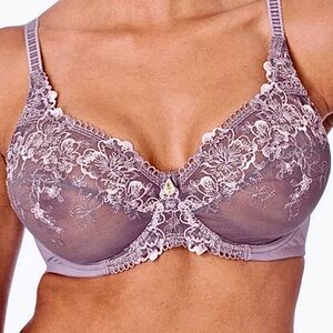 CRÈME BRALEE~Elegant Lace Embroidered Bra - Violet